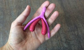 3D-Printed-Clitoris